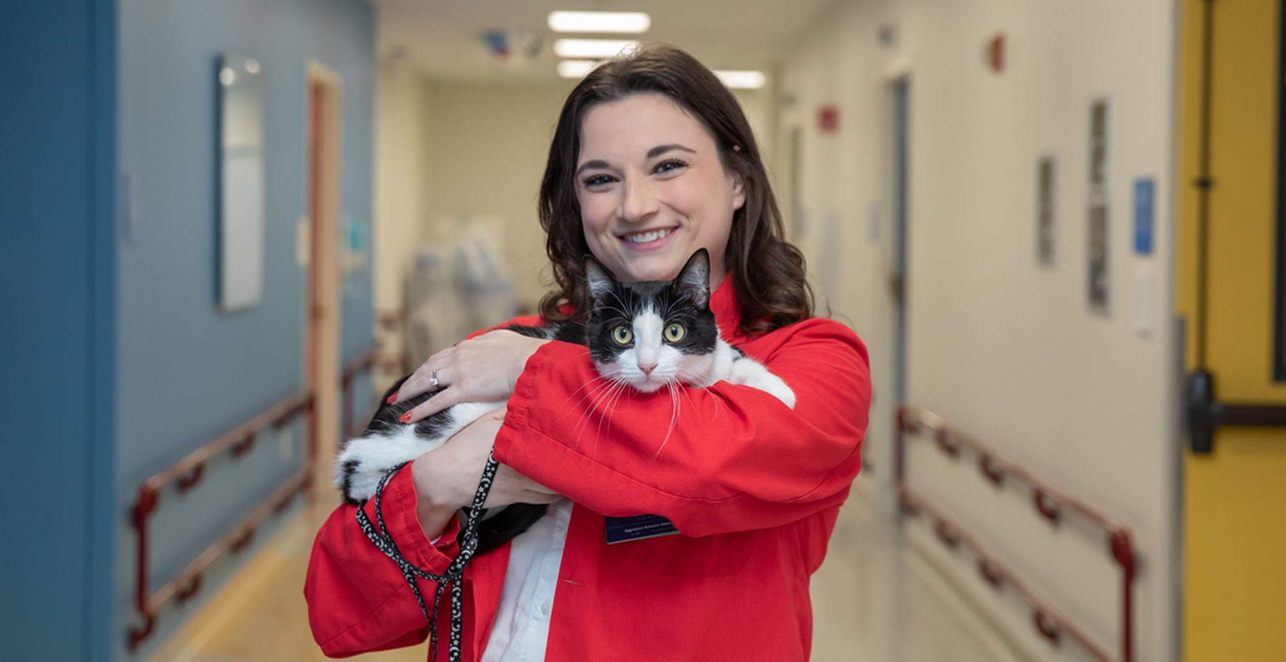 Harry-the-Therapy-Cat_newsroom