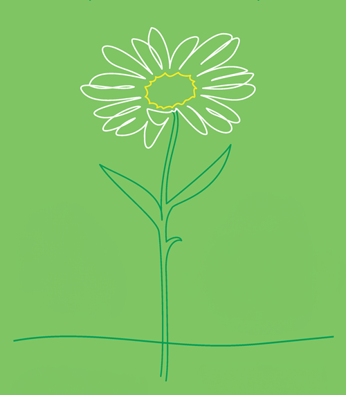 Daisy-Web_2