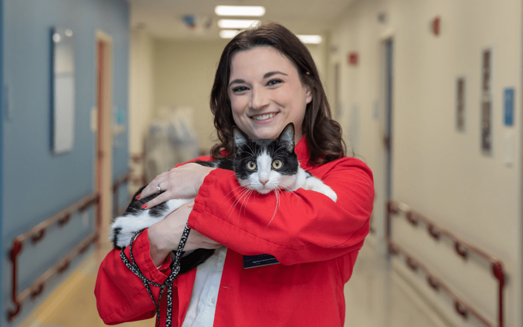 WFAA: You’ve heard all about therapy dogs. This therapy cat is raising spirits at a Dallas pediatric hospital